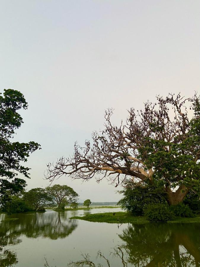 Wild Breeze Hotel Tissamaharama Luaran gambar